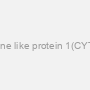 Human Cytokine like protein 1(CYTL1) ELISA kit